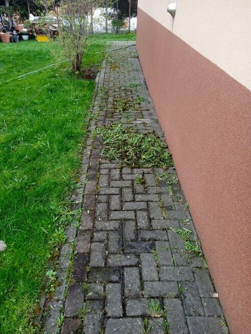 Mycie ogrodzeń, malowanie ogrodzeń ,mycie kostki, mycie elewac
