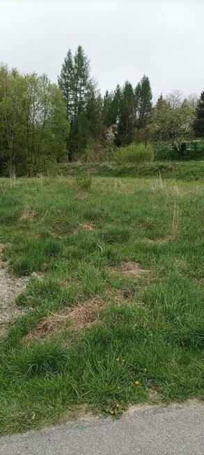 Dzialka Olszanica warunki zabudowy