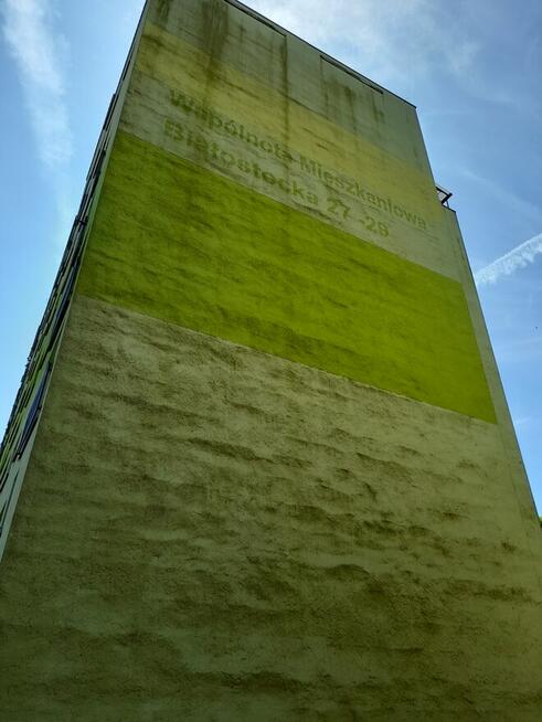 Czyszczenie elewacji ,malowanie ,usuwanie alg