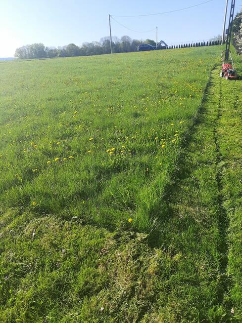 Koszenie trawy, karczowanie działek