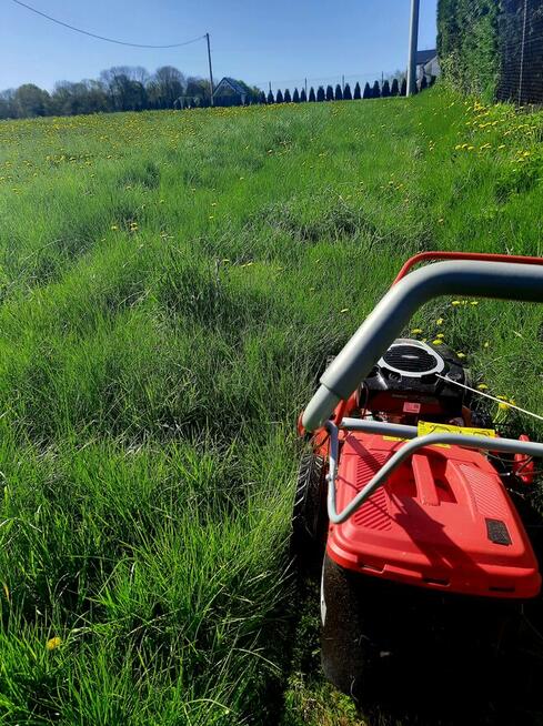 Koszenie trawy, karczowanie działek