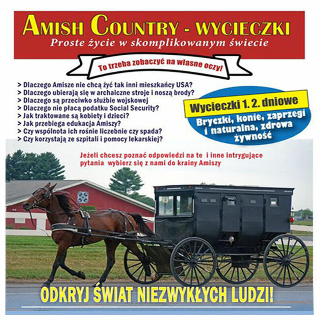 Oferta wycieczkowa