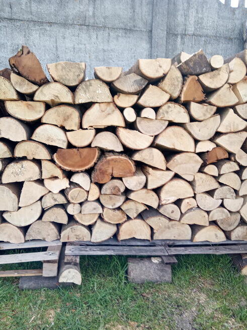Drewno opałowe/kominkowe