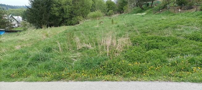 Dzialka Olszanica warunki zabudowy