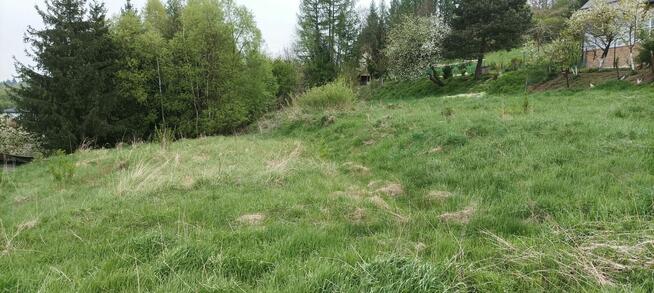 Dzialka Olszanica warunki zabudowy