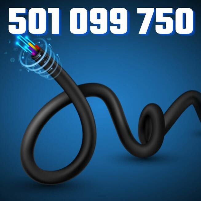 Montaż Serwis Anten Satelitarnych Canal+Polsat i naziemnych