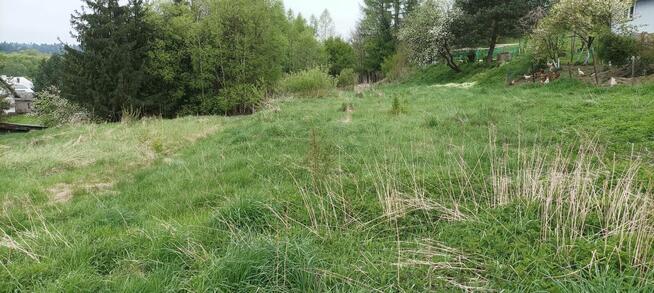 Dzialka Olszanica warunki zabudowy