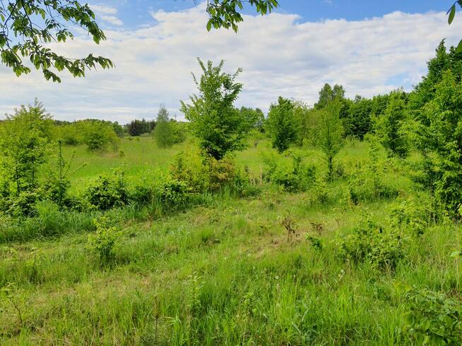 Działka 5400 m2 budowlana WZ