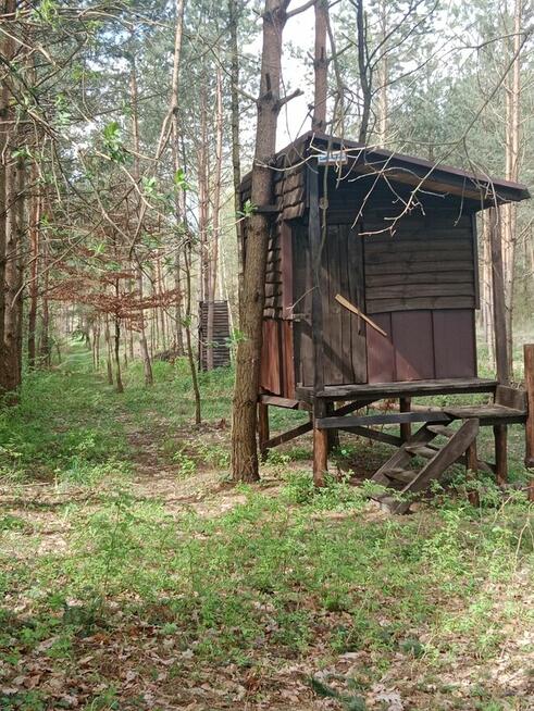 Sprzedam działkę rolno-leśną w Bizorędzie