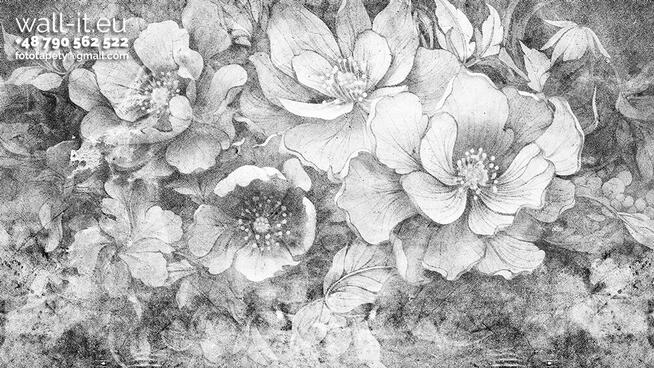 Fototapeta Kwiaty na Betonowej Ścianie w Kolorystyce Ciepłej