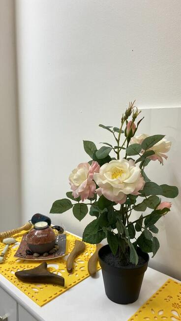 Masaż relaksacyjny/cukrowa depilacja/Reiki Bielsko-Biała