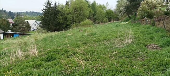 Dzialka Olszanica warunki zabudowy