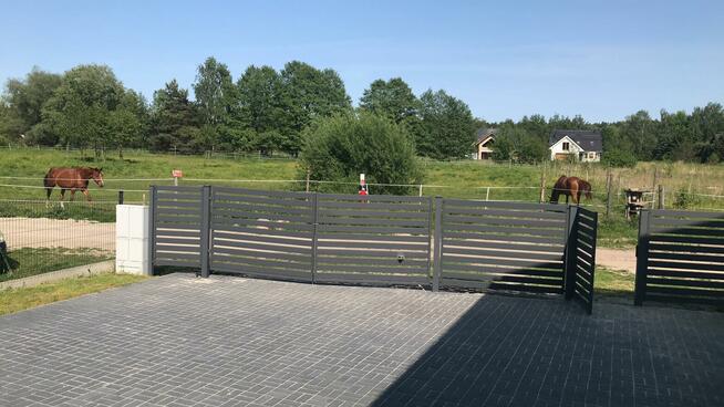 Bliźniak w Borówcu