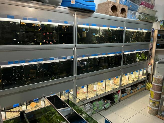 Sklep zoologiczny Leopard Bielsk Podlaski zapraszamy