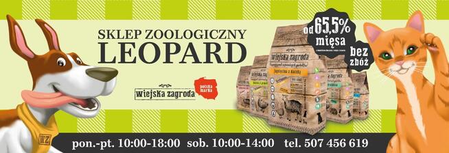 Sklep zoologiczny Leopard Bielsk Podlaski zapraszamy