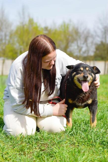 Zygmunt- niewidzialny psiak-czy ktoś go wypatrzy i adoptuje?