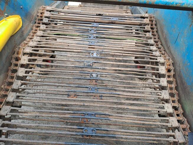 Kopaczka Elewatorowa Do Cebuli Buraczka Ziemniaków Stary Typ