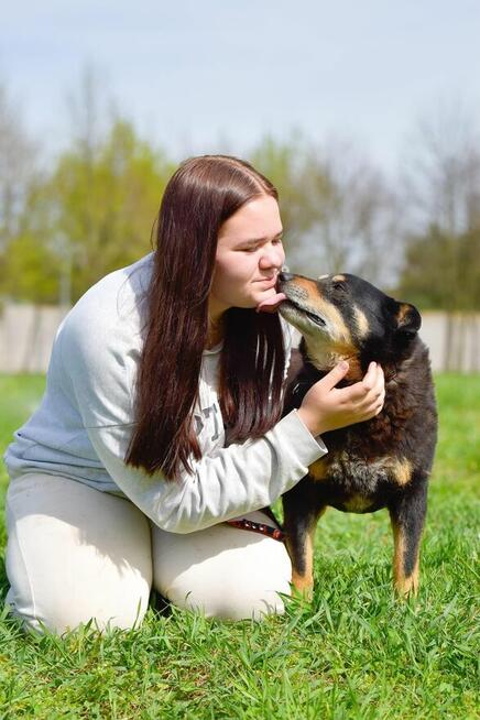 Zygmunt- niewidzialny psiak-czy ktoś go wypatrzy i adoptuje?