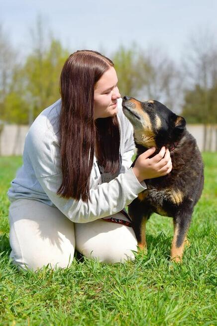 Zygmunt- niewidzialny psiak-czy ktoś go wypatrzy i adoptuje?