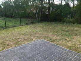 Bliźniak w Borówcu