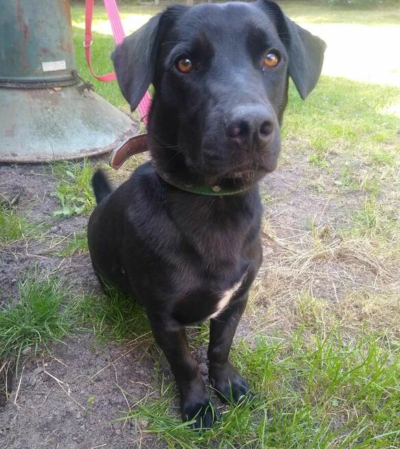 Portos - rodzinny, wesoły, pełen życia!