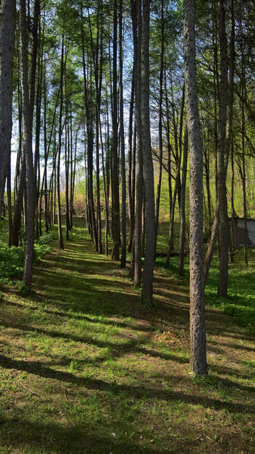 Dom z ogrodem i parkiem leśnym Kielce-Zagrody