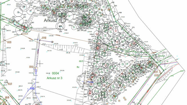 Inwentaryzacja drzew, operat dendrologiczny