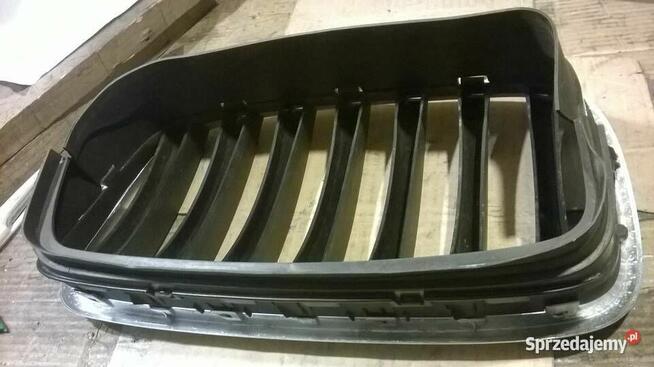 BMW Grill
