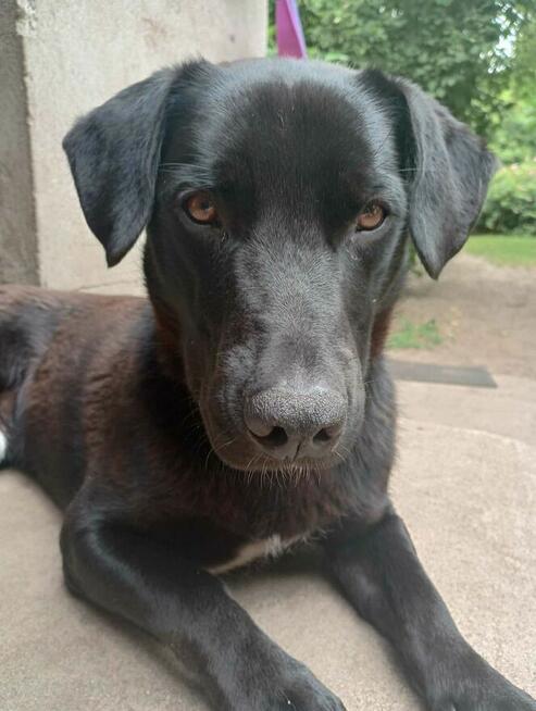 Portos - rodzinny, wesoły, pełen życia!