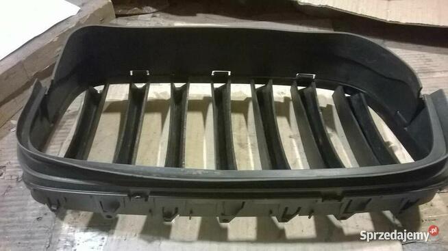 BMW Grill