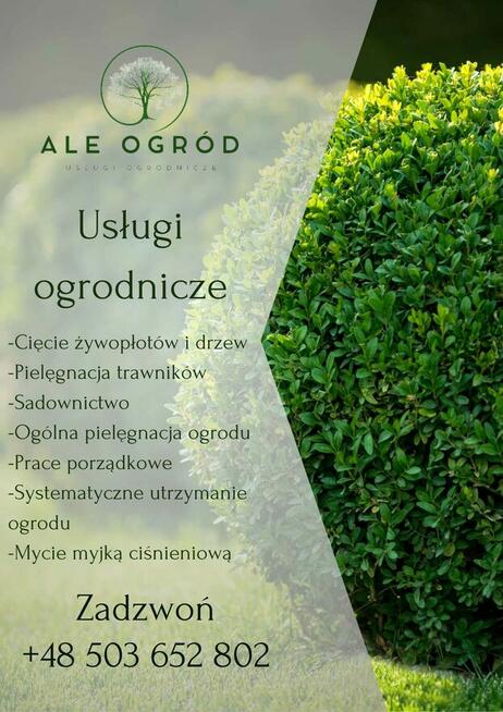 Usługi ogrodnicze / cięcie żywopłotów