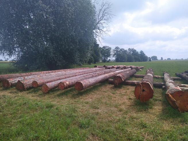 Inwentaryzacja drzew, operat dendrologiczny