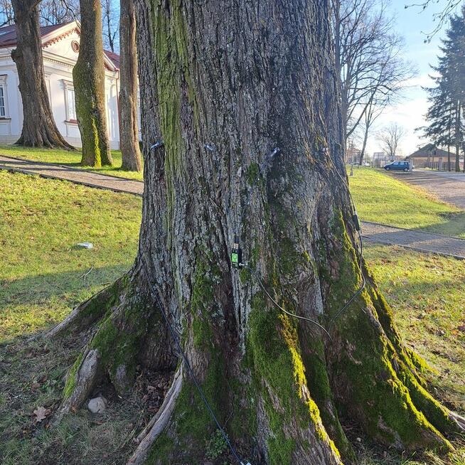 Inwentaryzacja drzew, operat dendrologiczny