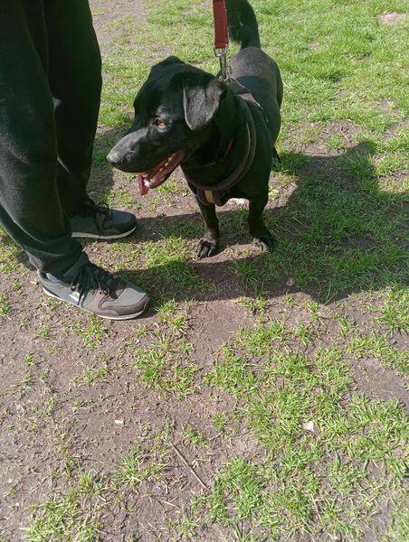 Portos - rodzinny, wesoły, pełen życia!