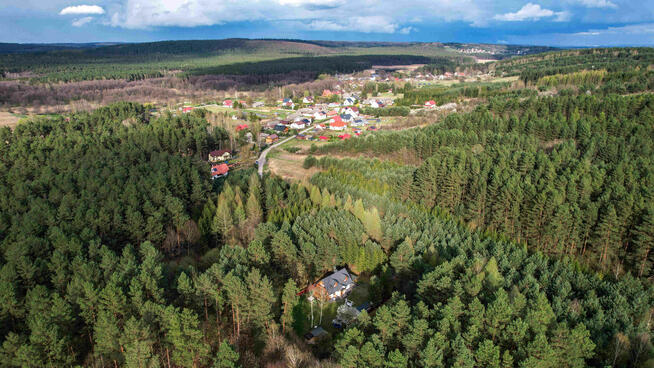 Domek letniskowy w lesie Sosenka Hutki Roztocze - Krasnobród