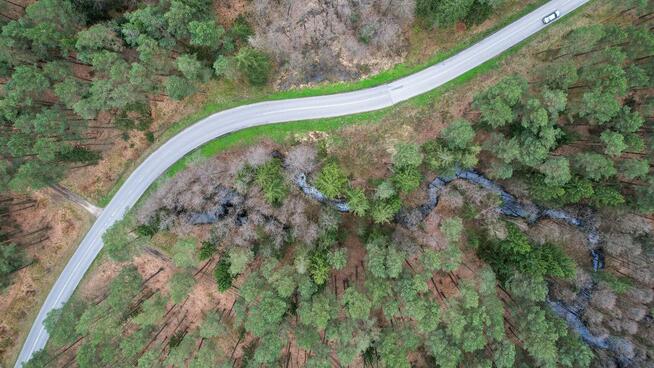 Domek letniskowy w lesie Sosenka Hutki Roztocze - Krasnobród