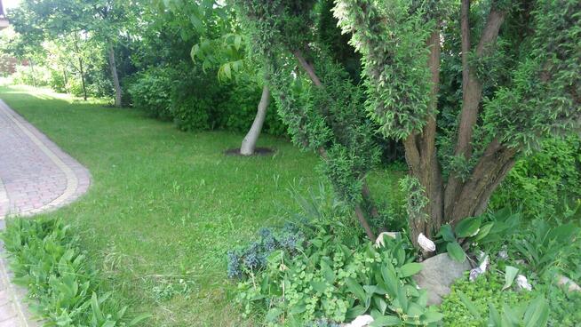 Sprzedam willę w Centrum Łodzi bezpośrednio