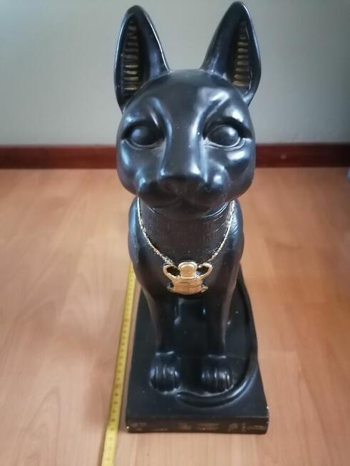 Duży Kot Egipski