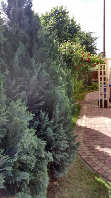 Sprzedam willę w Centrum Łodzi bezpośrednio