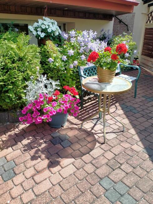 Pokoje do wynajęcia tel.512344279 Władysławowo Pokoje