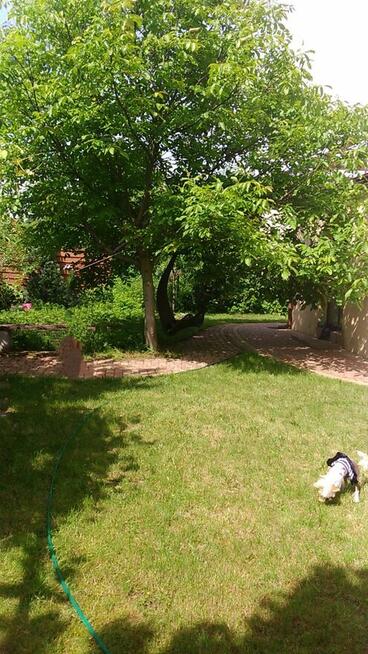 Sprzedam willę w Centrum Łodzi bezpośrednio