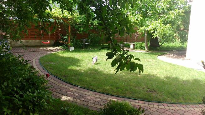 Sprzedam willę w Centrum Łodzi bezpośrednio