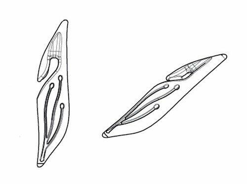 ROLETY MINI w KASECIE DZIEŃ NOC PRODUCENT JAKOŚĆ roleta