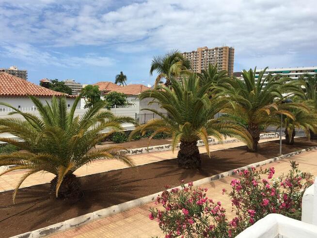 Teneryfa apartament