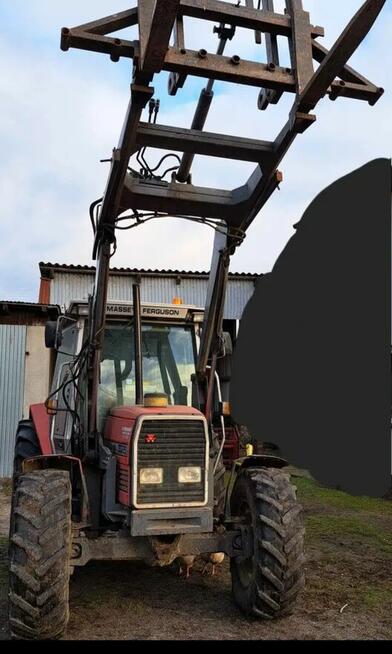 Ciągnik mf 3065 z ładowaczem turem