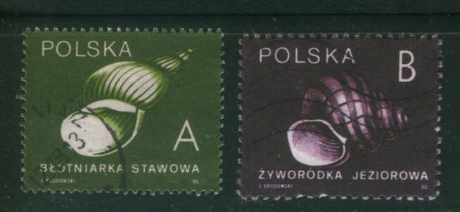 Zn. Fi 3124, 5 kas 1990