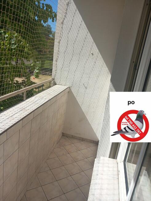 Montaż siatki na balkonie, oknie dla kotka przeciw ptakom