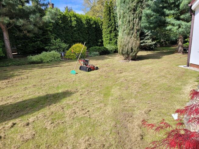 Wertykulacja trawnika