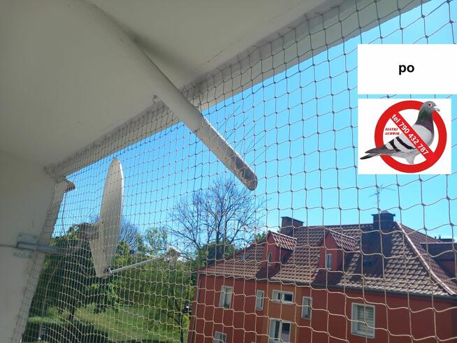 Montaż siatki na balkonie, oknie dla kotka przeciw ptakom