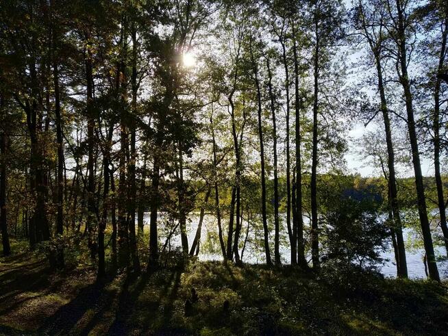 Zapraszamy do Pensjonatu SOSNÓWKA: Przyroda, Komfort i Cisza